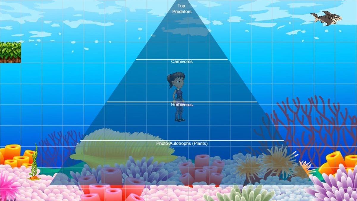 Ocean Ecological Pyramid