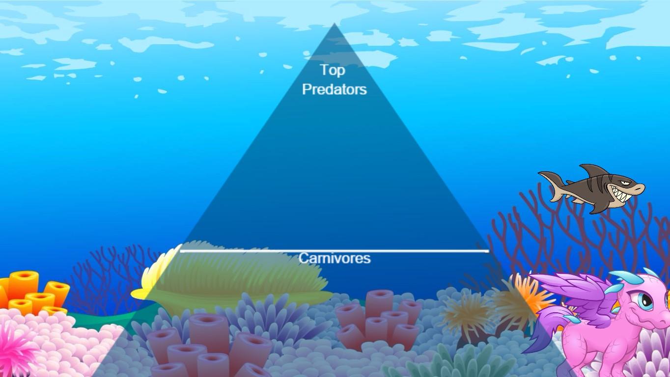 Ocean Ecological Pyramid