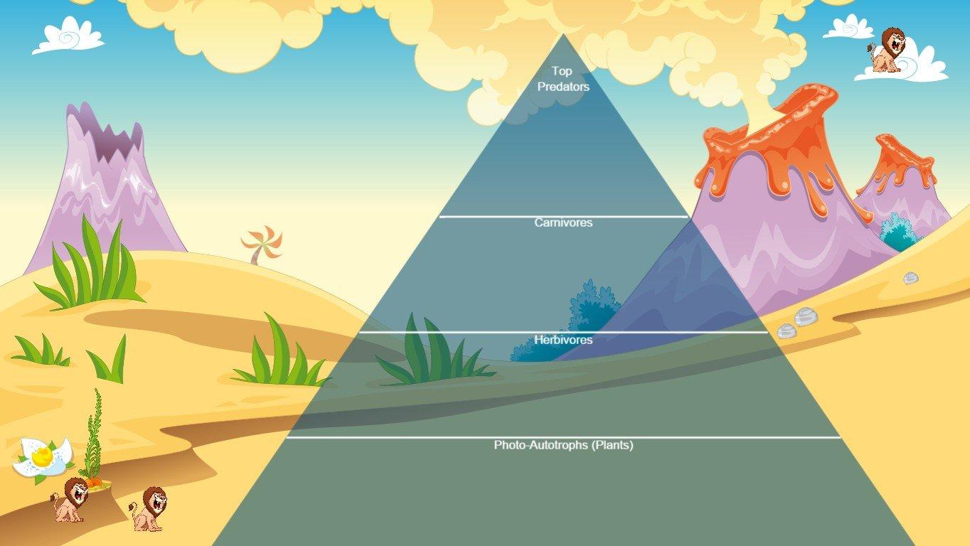 Ocean Ecological Pyramid