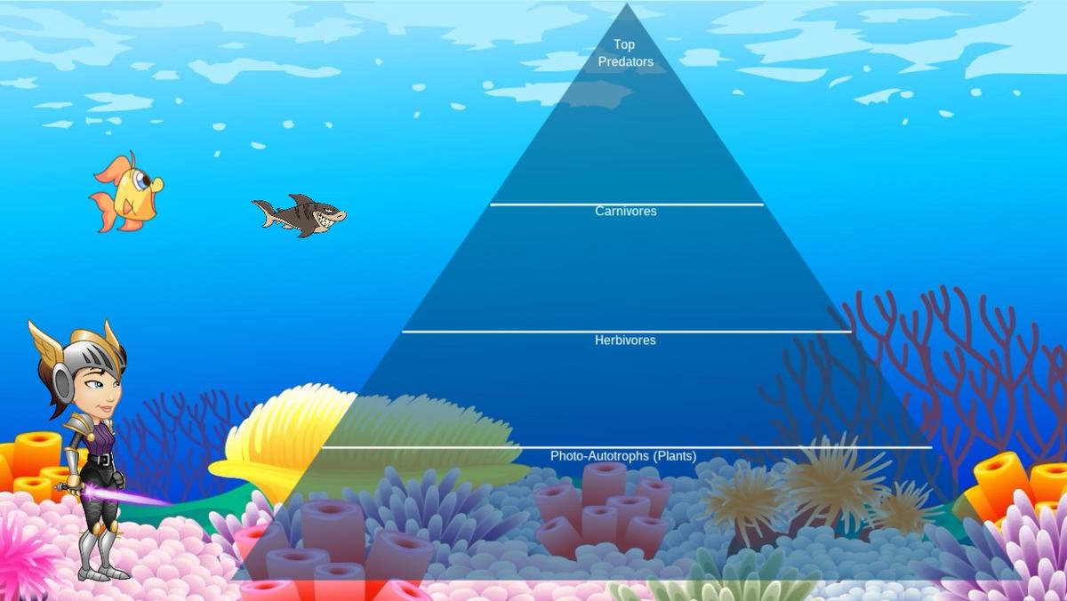 Ocean Ecological Pyramid