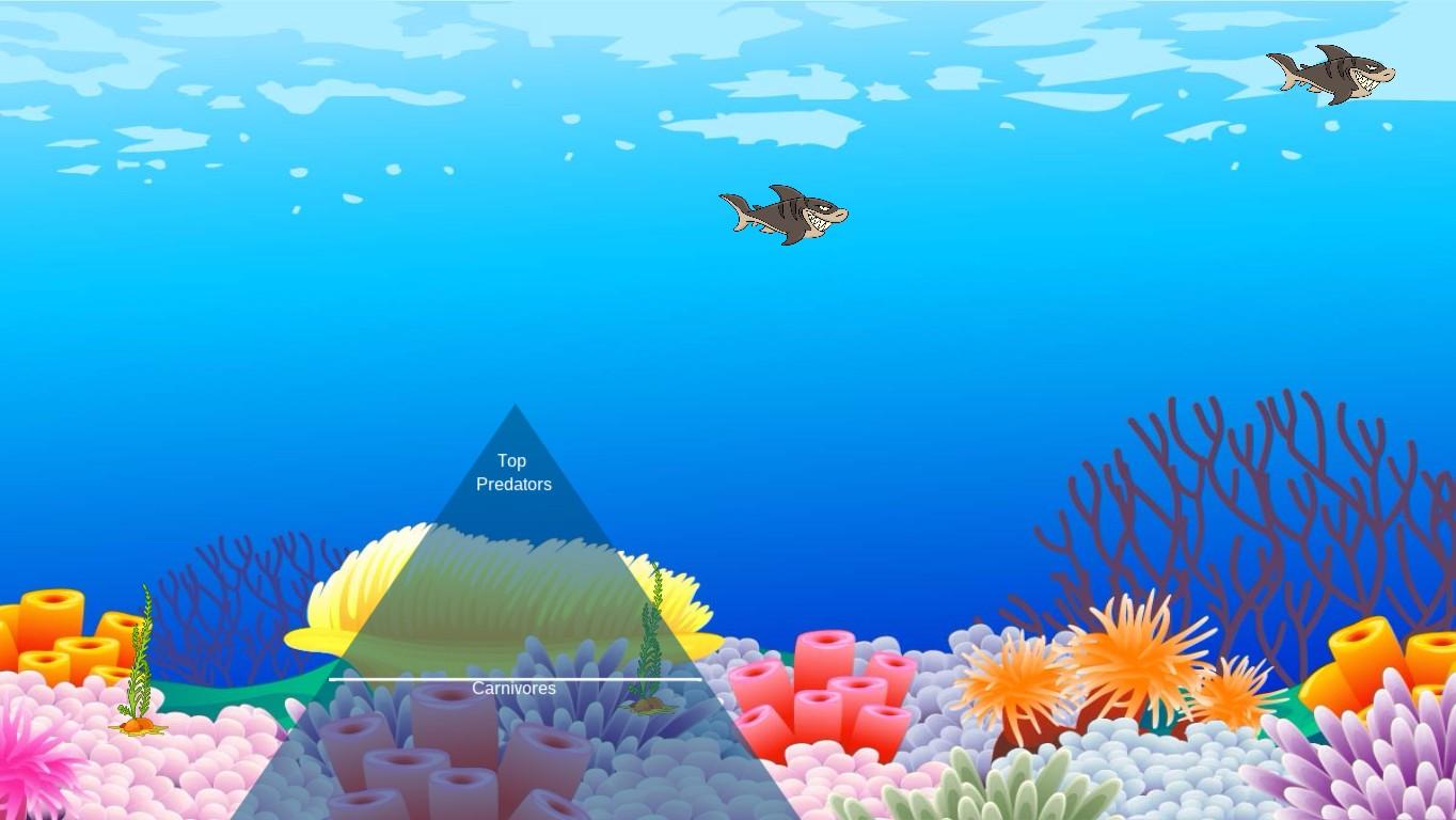 Ocean Ecological Pyramid