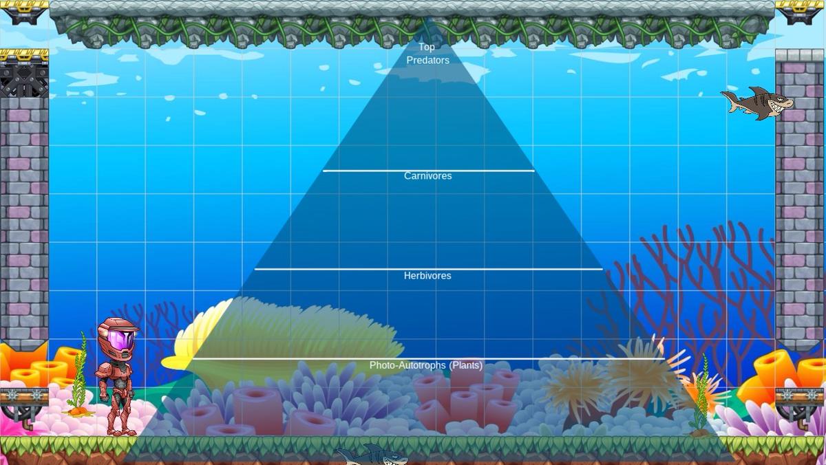 Ocean Ecological Pyramid