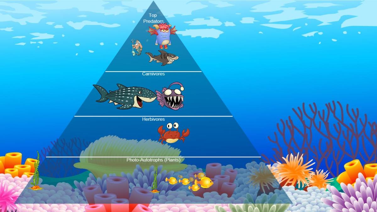 Ocean Ecological Pyramid