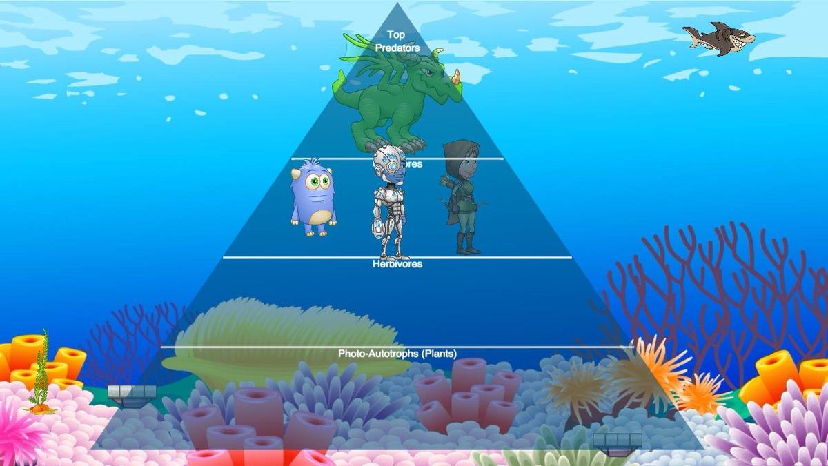 Ocean Ecological Pyramid