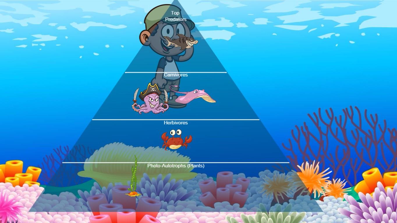 Ocean Ecological Pyramid