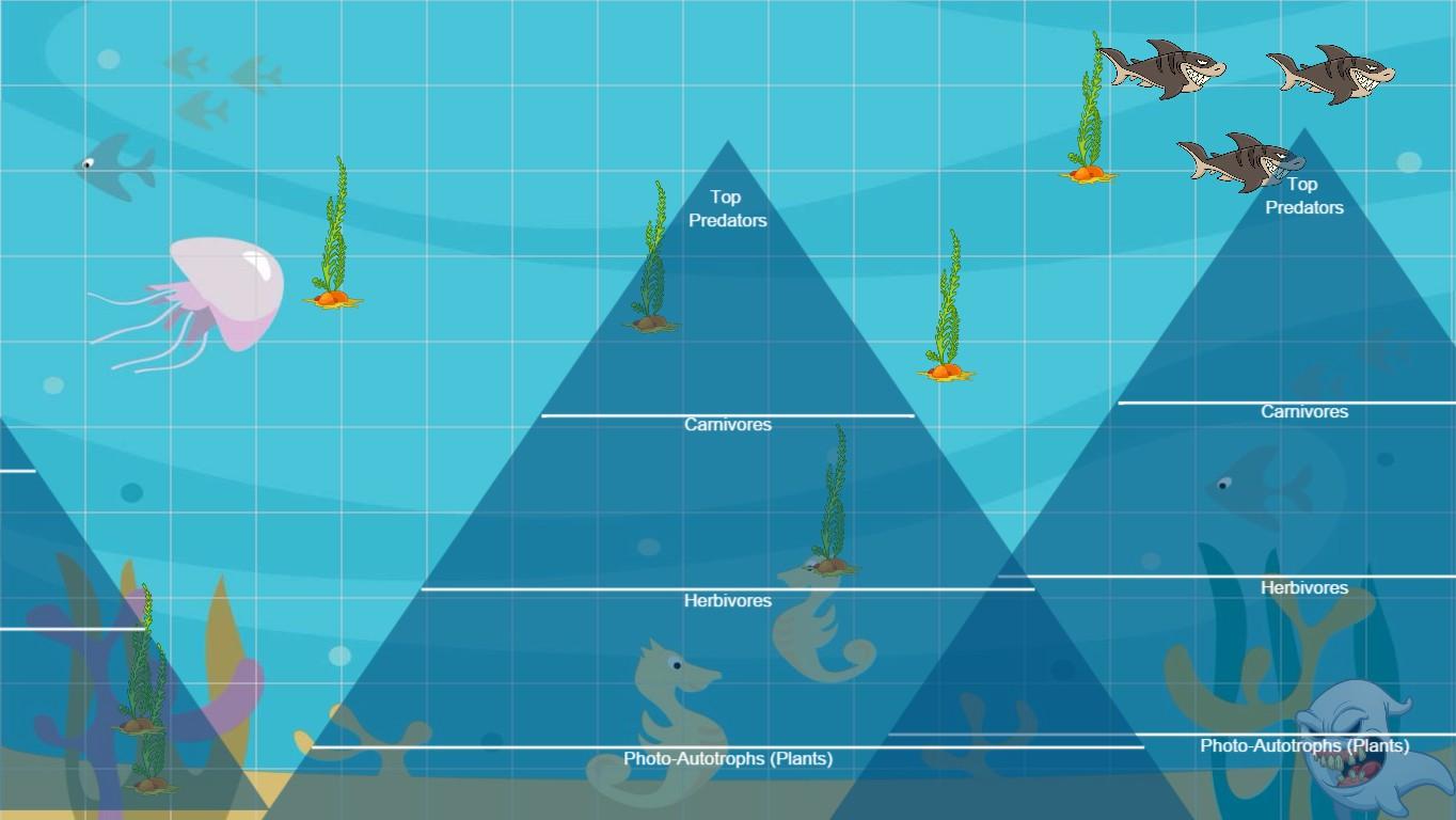 Ocean Ecological Pyramid