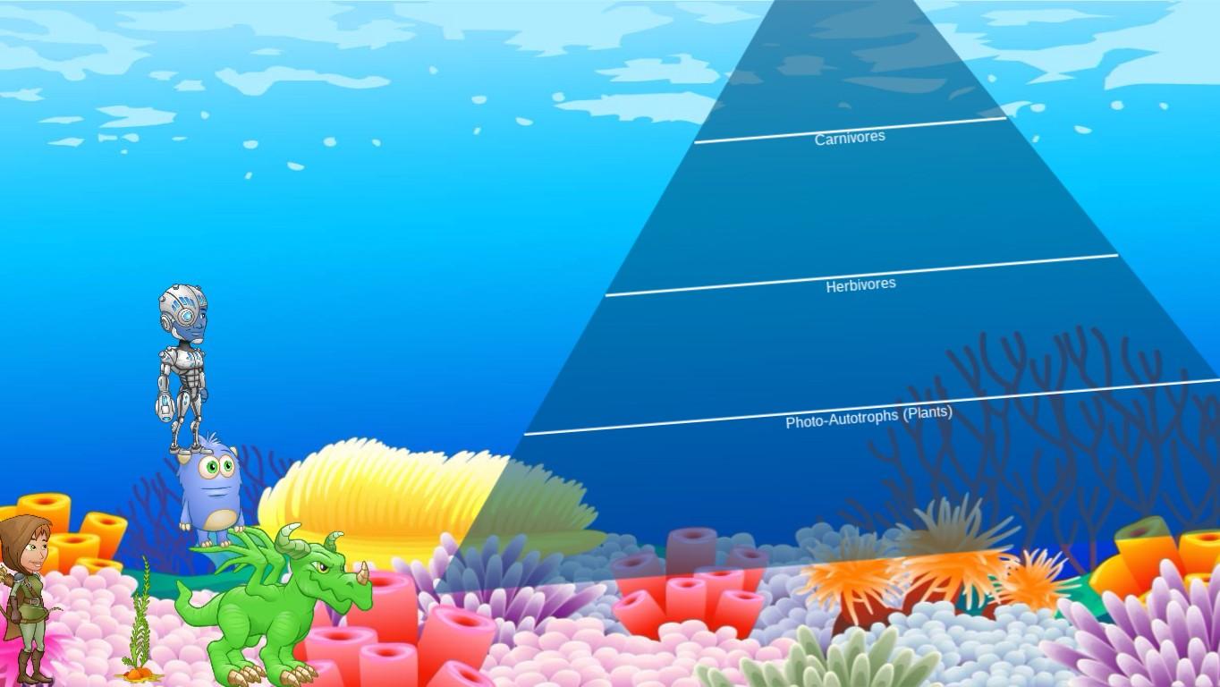 Ocean Ecological Pyramid