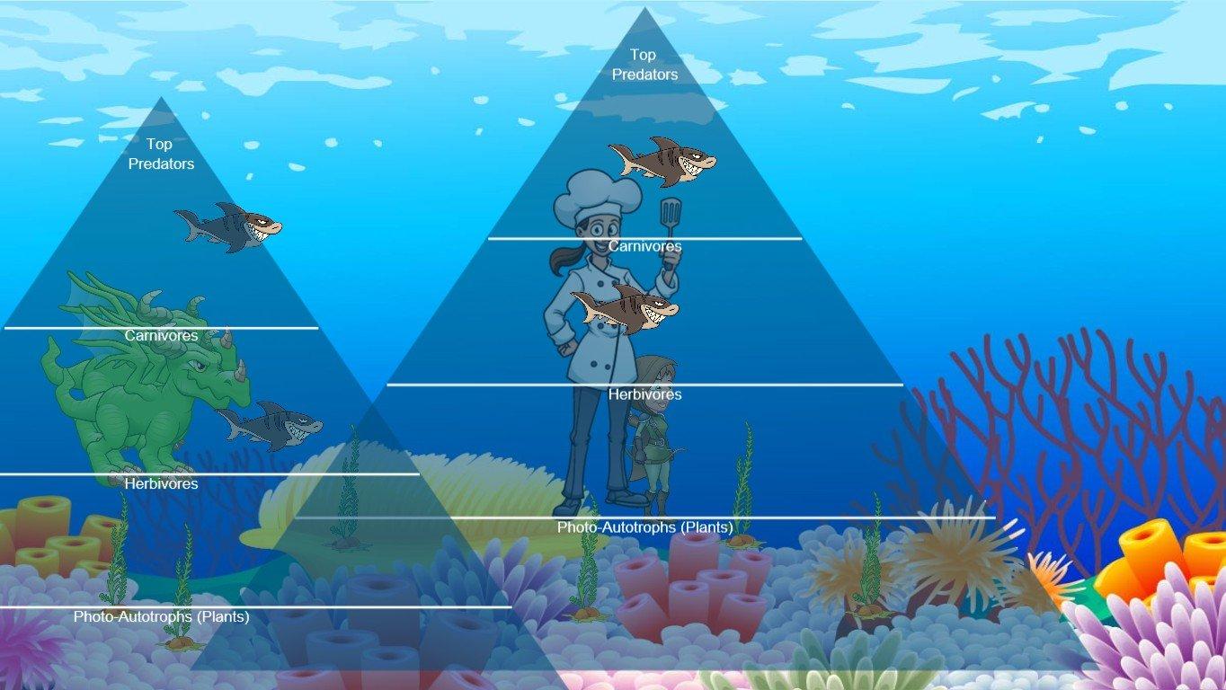 Ocean Ecological Pyramid