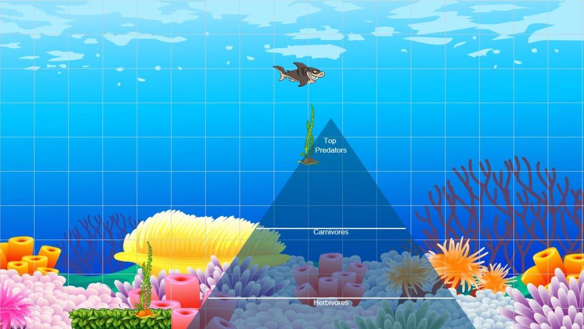 Ocean Ecological Pyramid