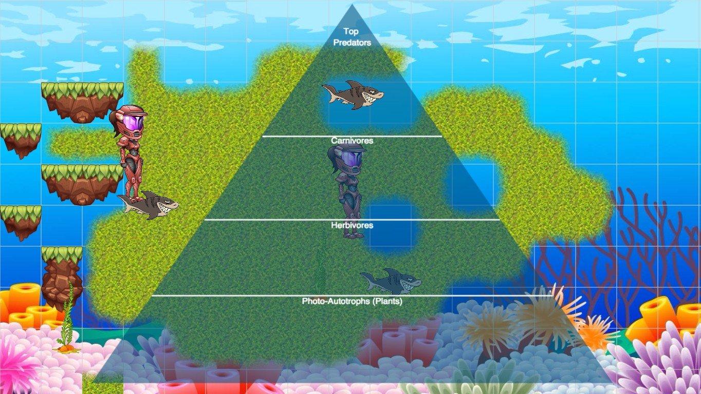 Ocean Ecological Pyramid