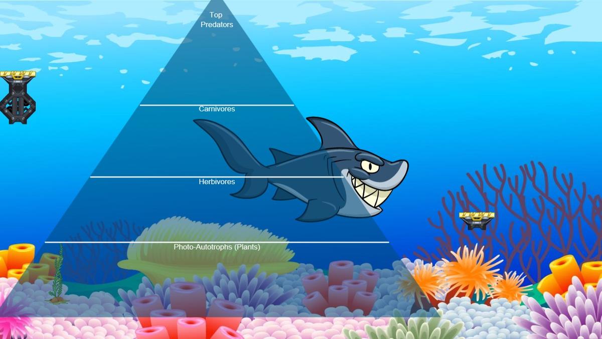 Ocean Ecological Pyramid