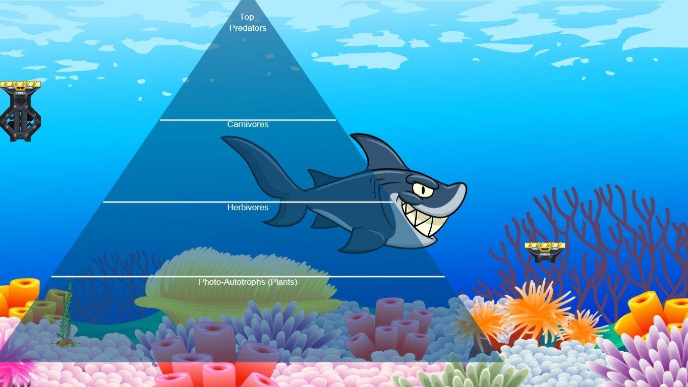 Ocean Ecological Pyramid