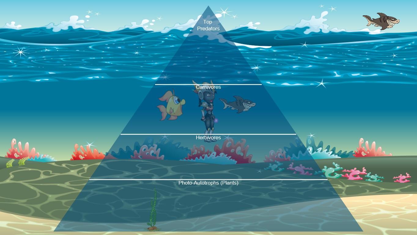 Ocean Ecological Pyramid