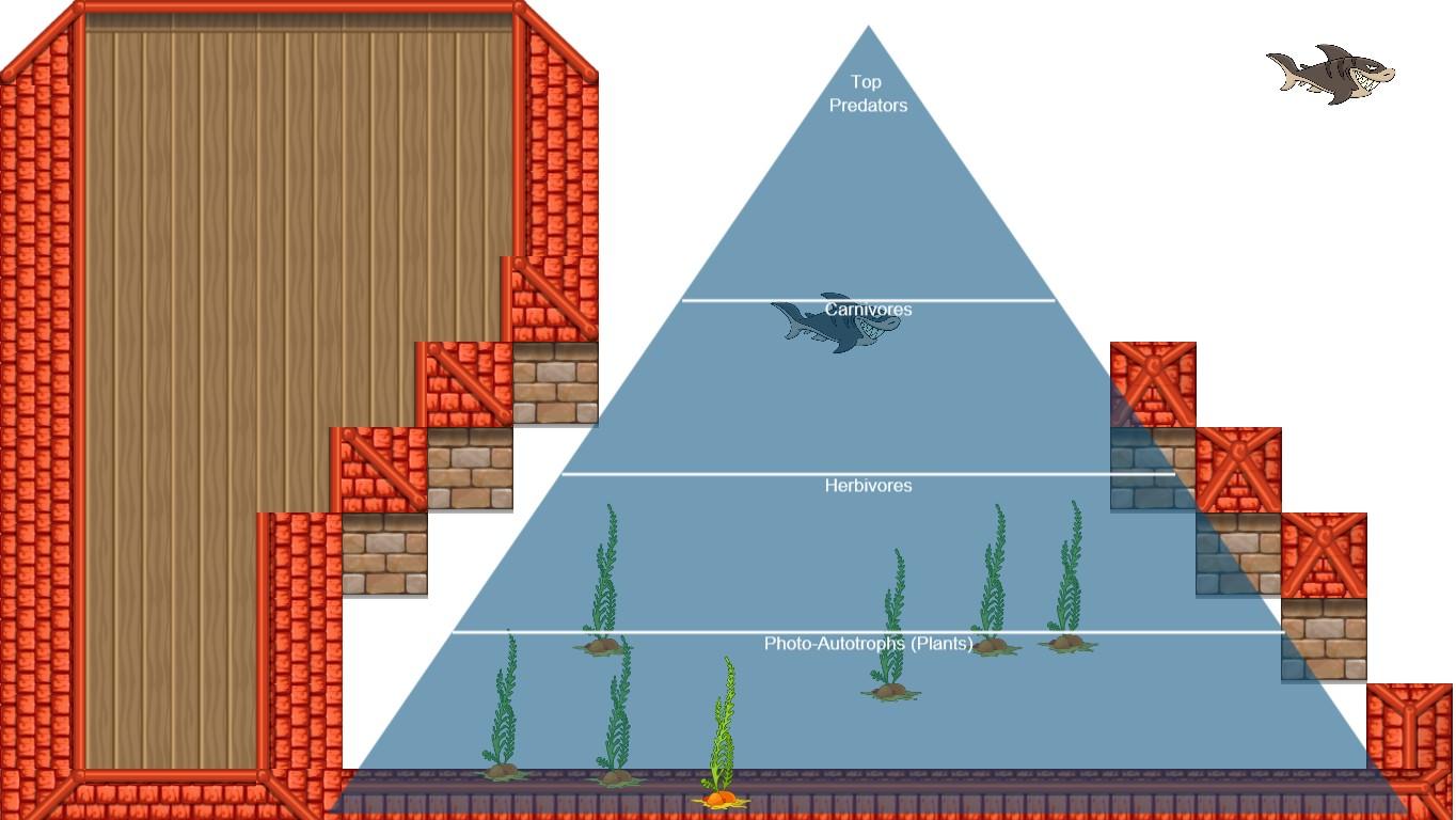 Ocean Ecological Pyramid