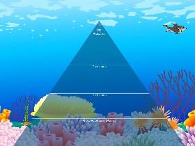 Ecological Pyramid 1