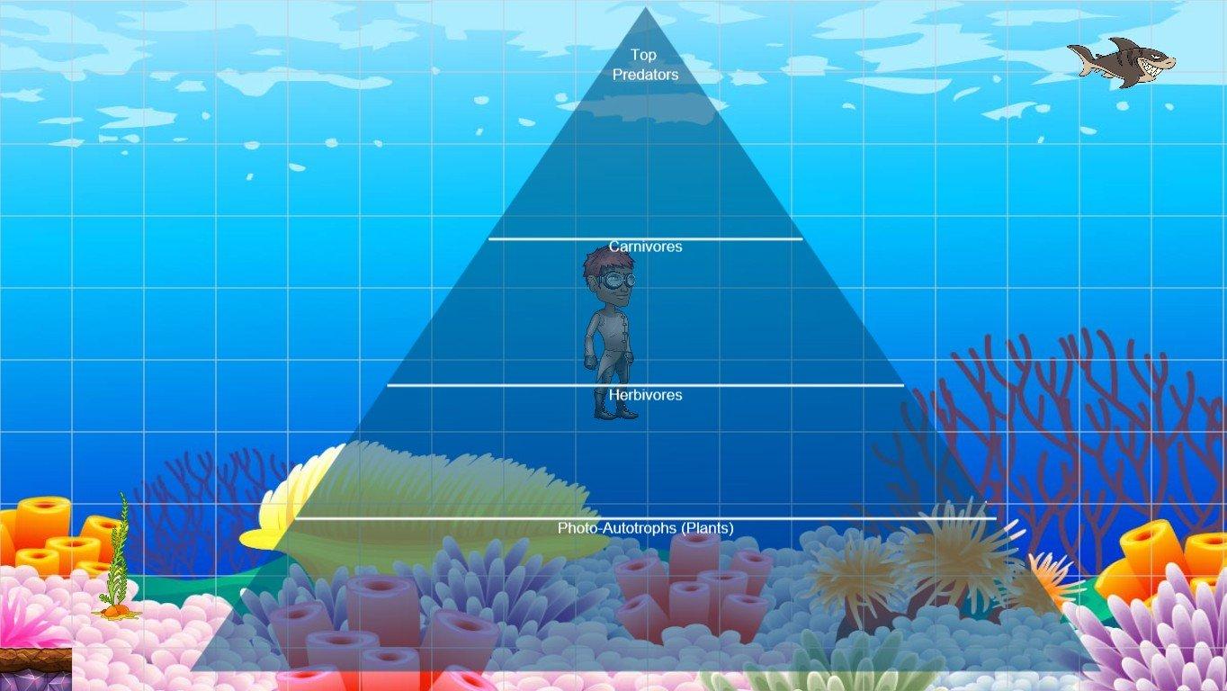 Ocean Ecological Pyramid