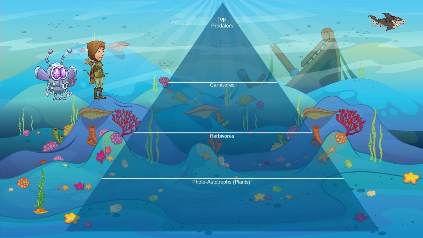 Ocean Ecological Pyramid