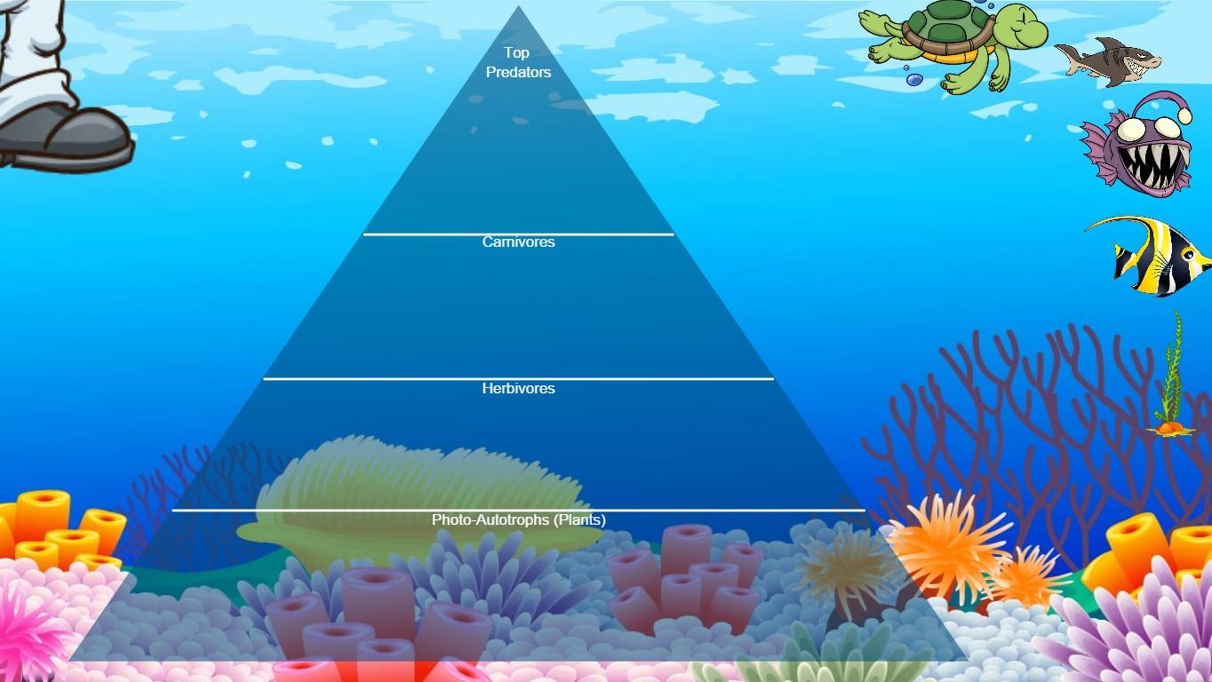 Ocean Ecological Pyramid