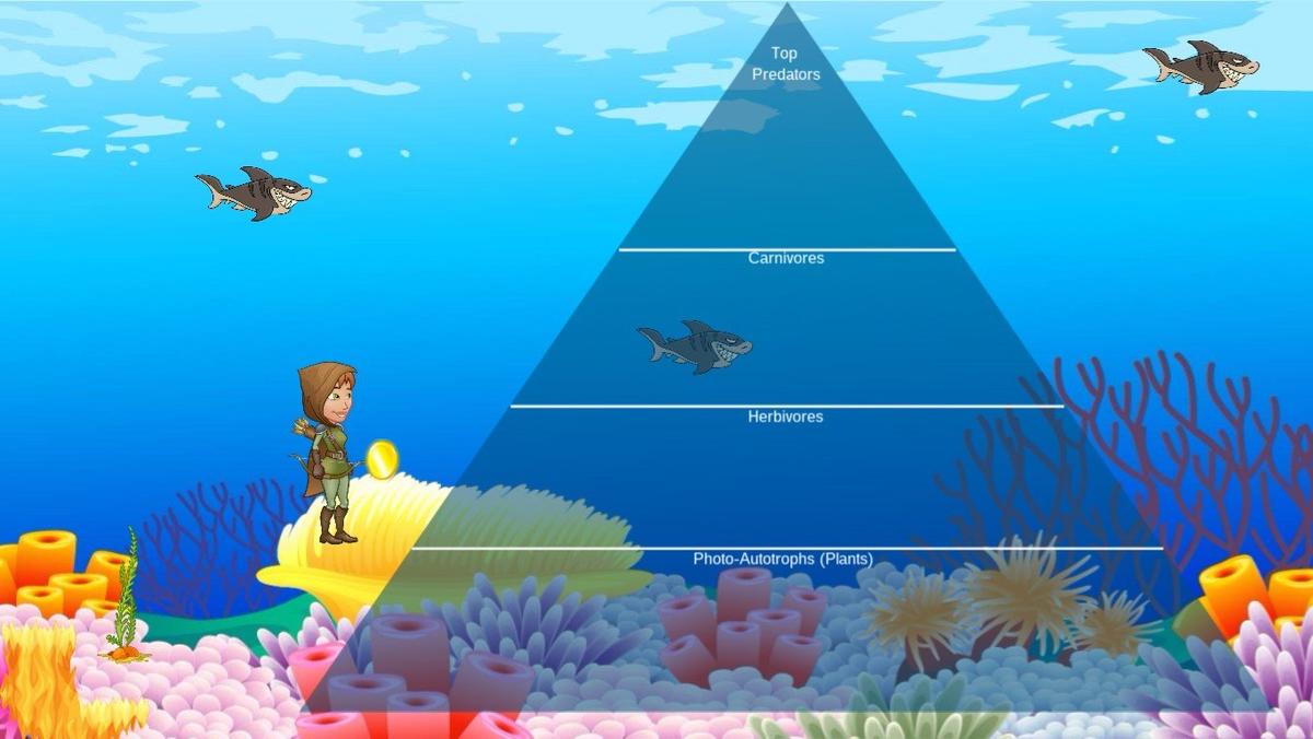 Ocean Ecological Pyramid