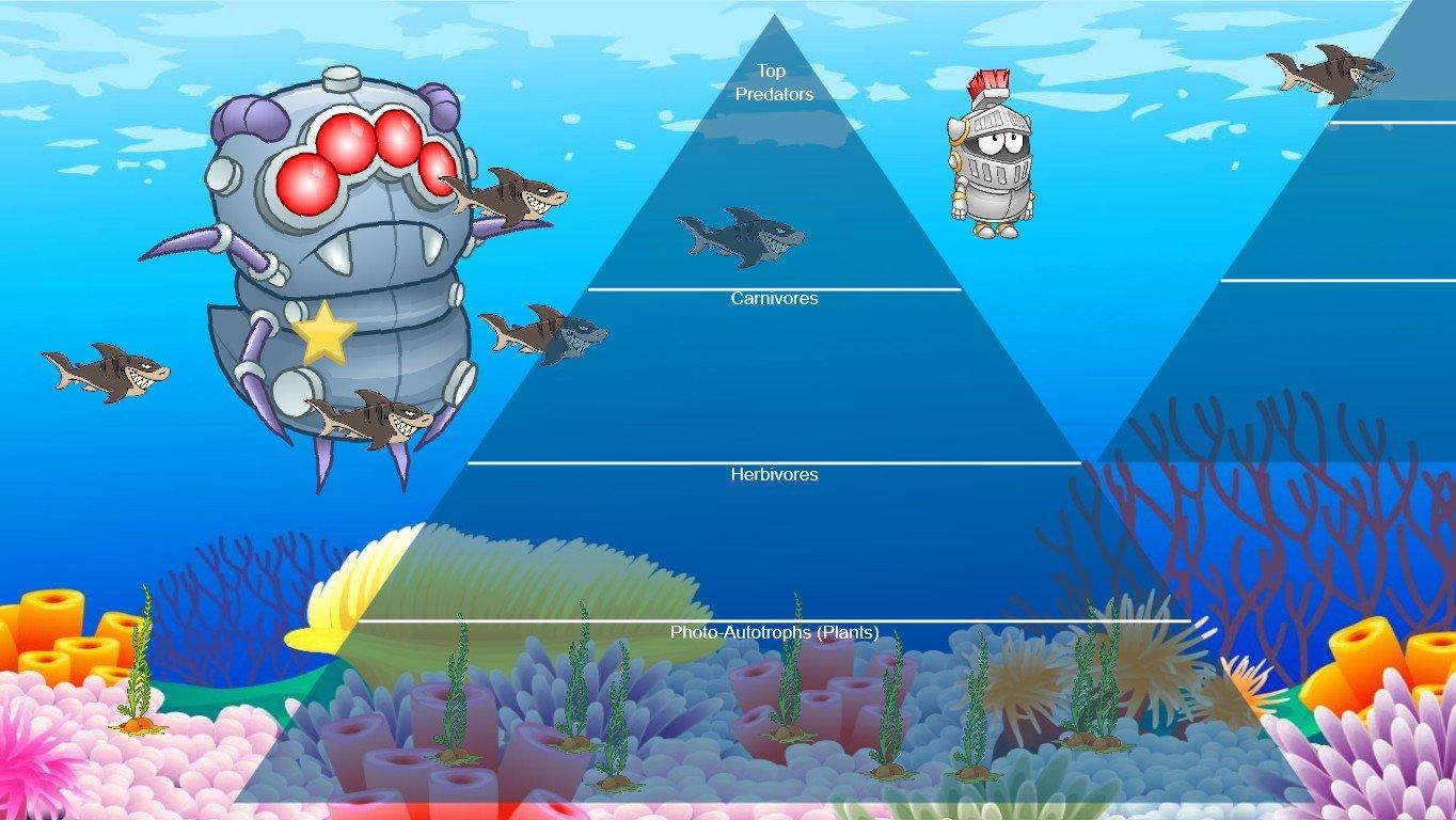 Ocean Ecological Pyramid