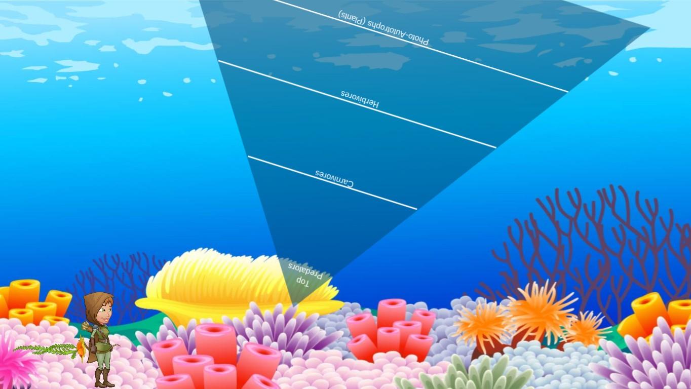 Ocean Ecological Pyramid