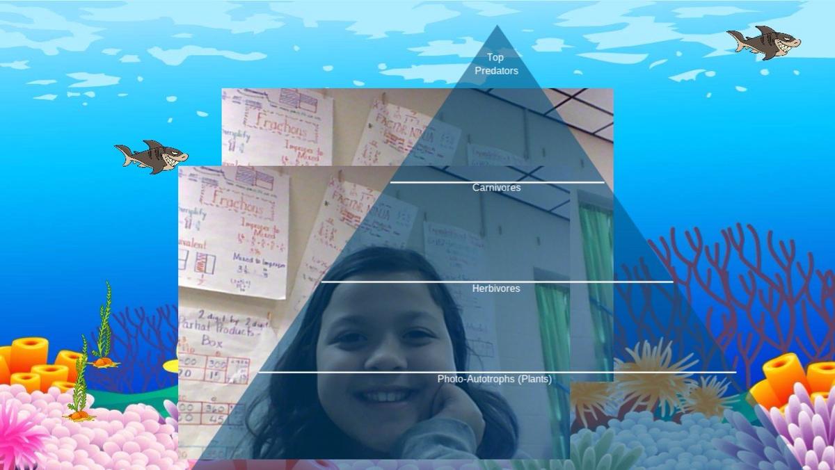 Ocean Ecological Pyramid