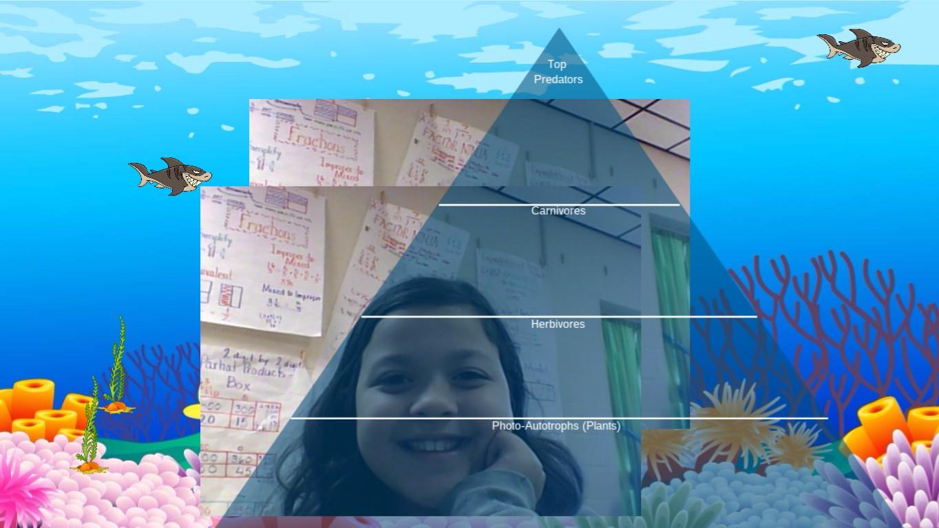 Ocean Ecological Pyramid