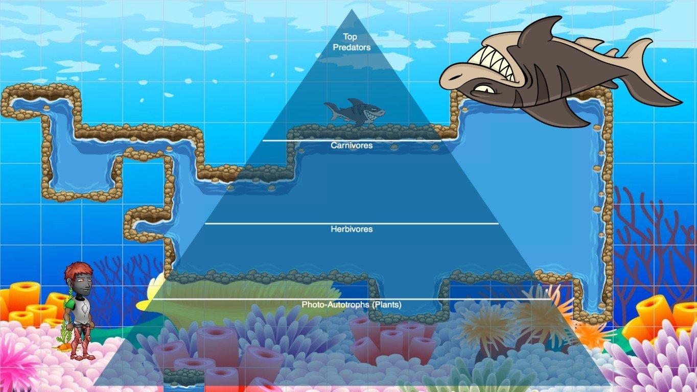 Ocean Ecological Pyramid