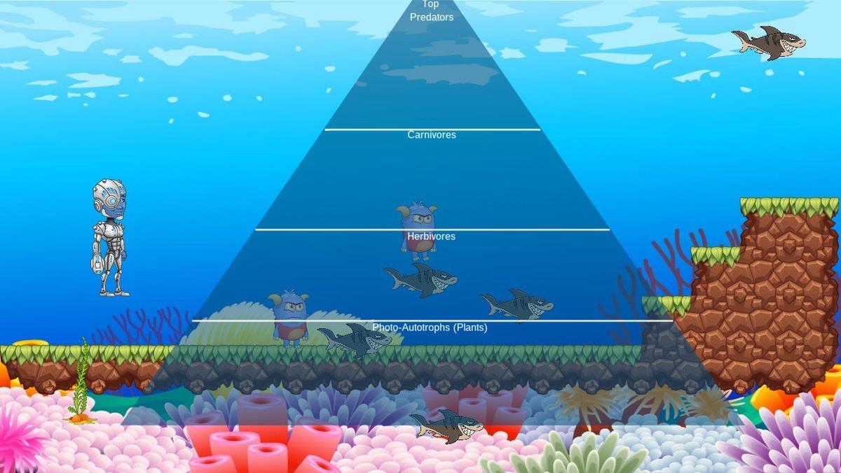 Ocean Ecological Pyramid