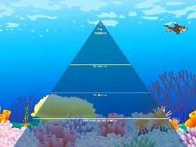 Ecological Pyramid 1