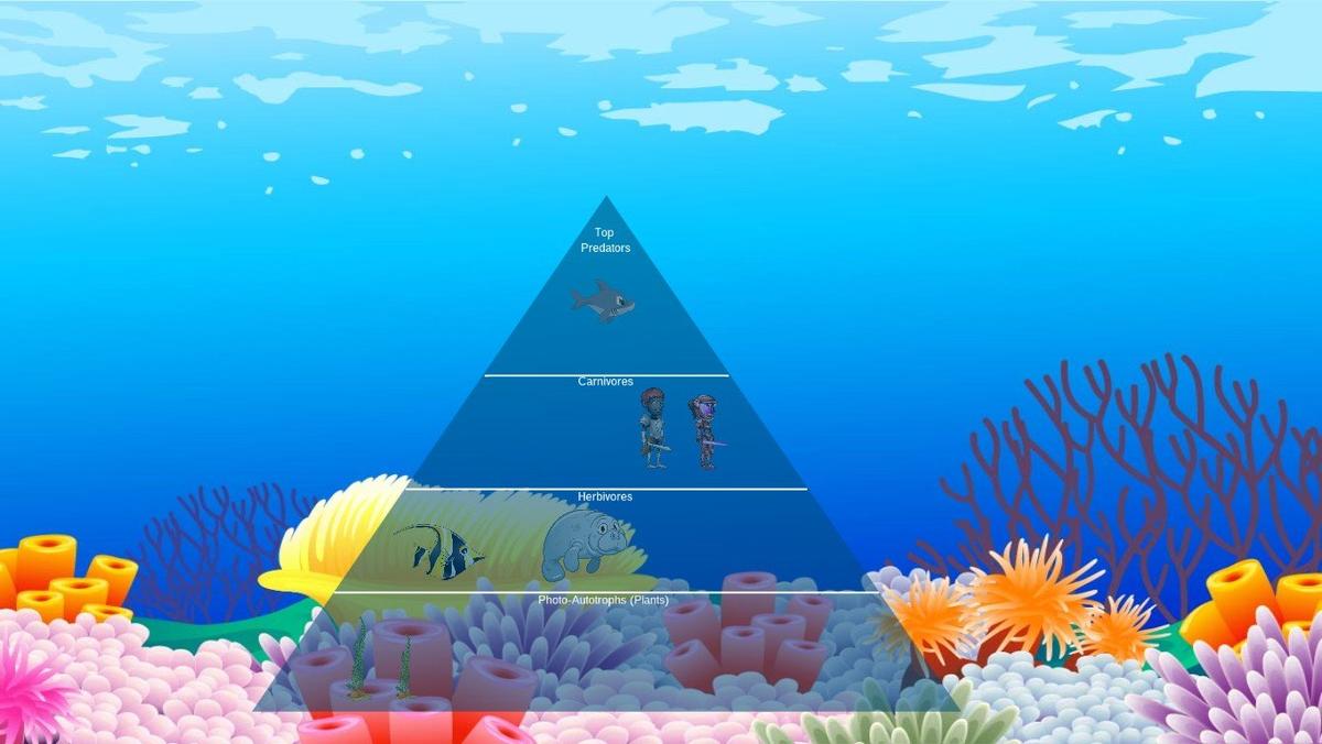 Ocean Ecological Pyramid