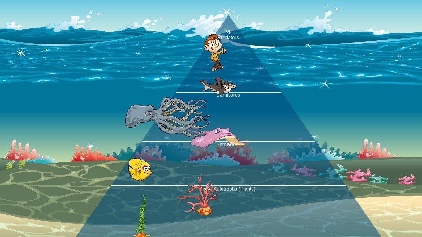 Ocean Ecological Pyramid