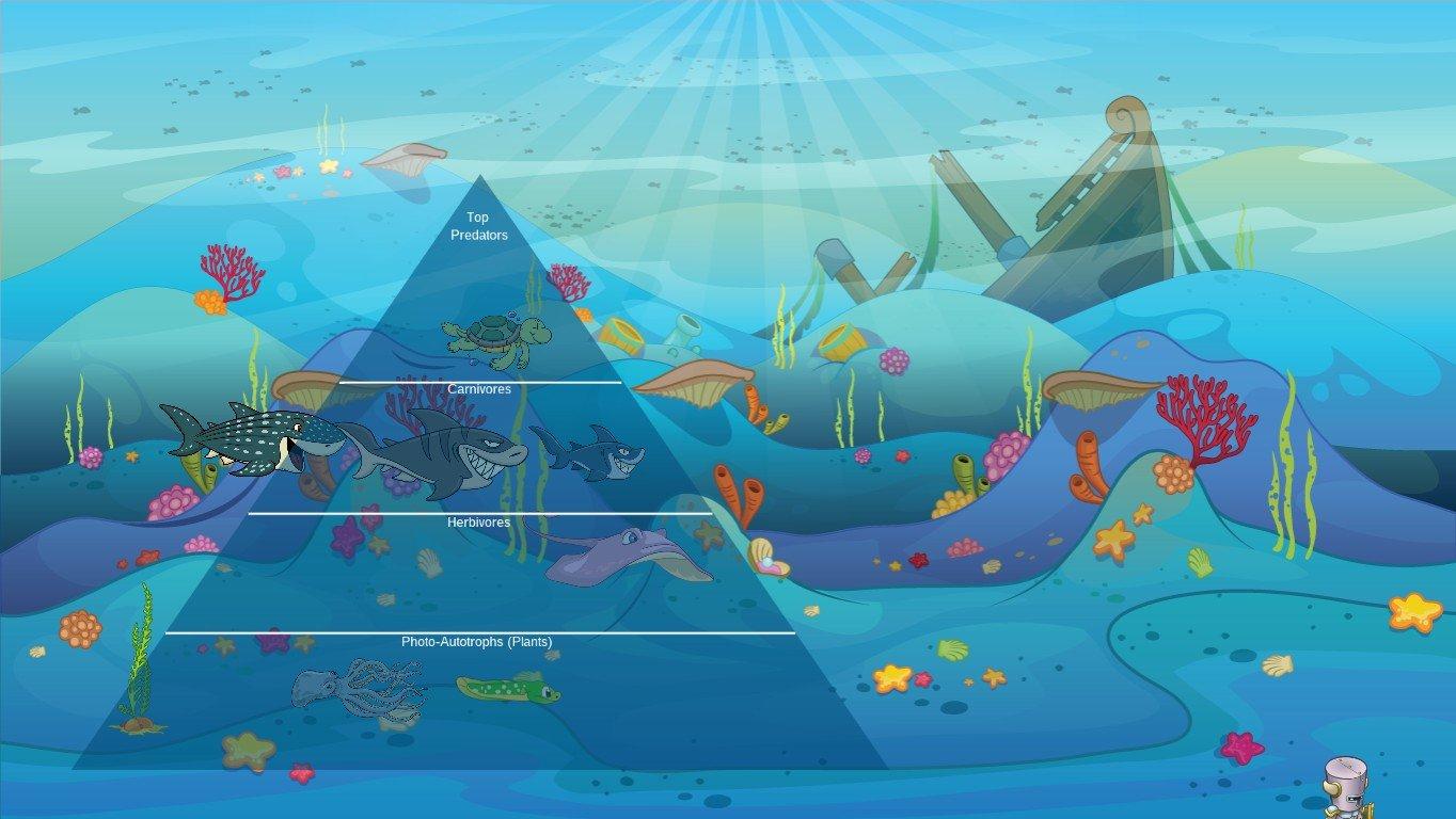 Ocean Ecological Pyramid Aloha