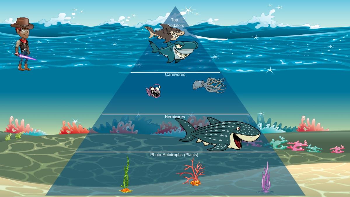 Ocean Ecological Pyramid-jonathan