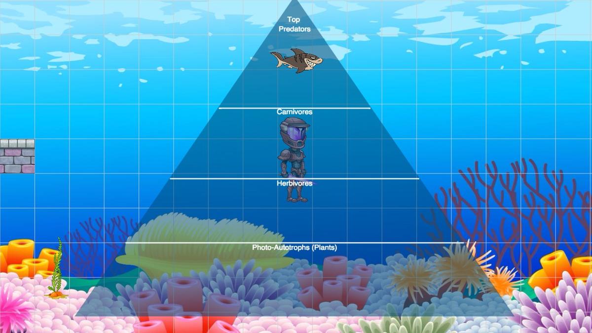 Ocean Ecological Pyramid