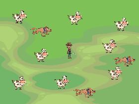 cow roundup 2