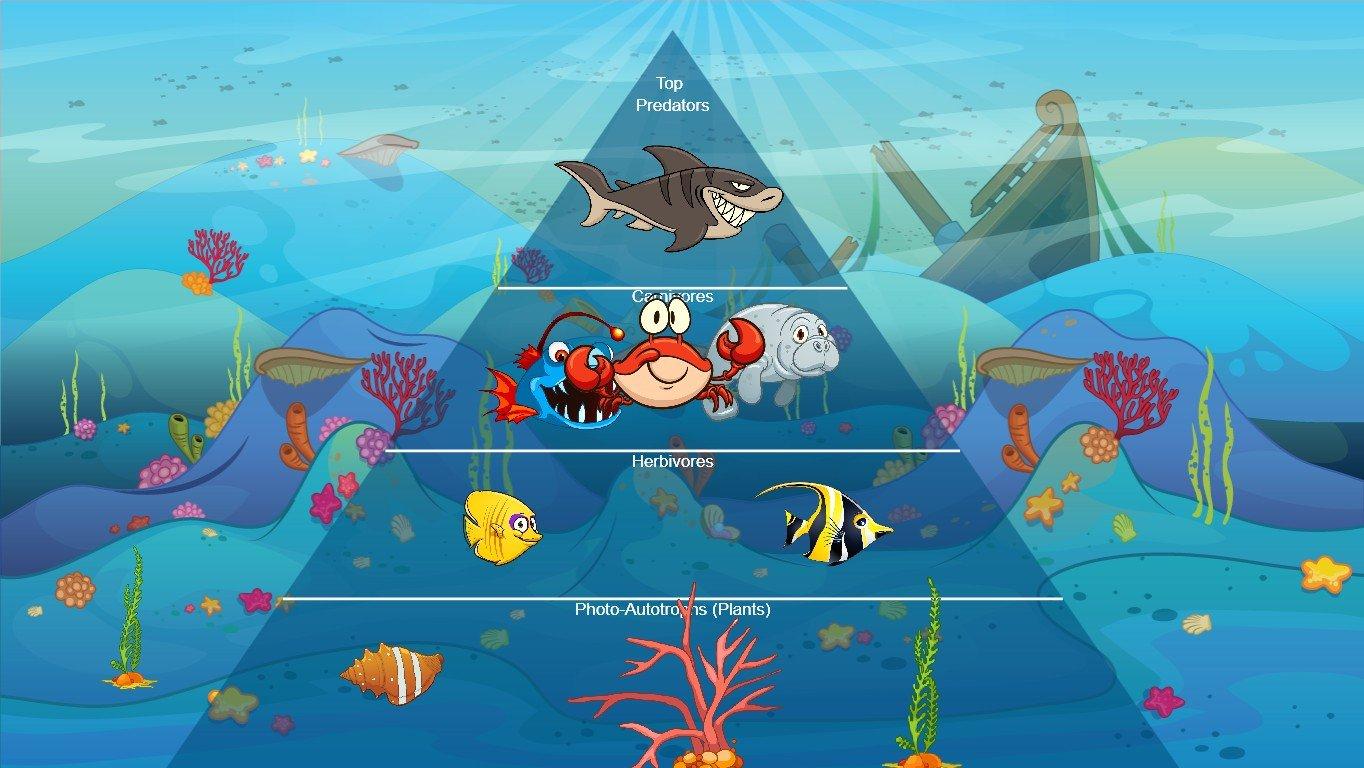 Ocean Ecological Pyramid