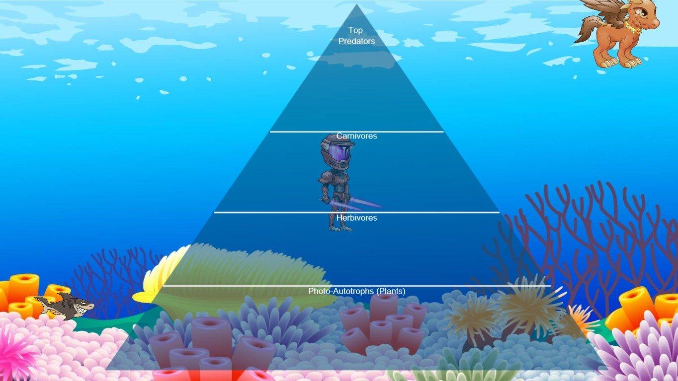 Ocean Ecological Pyramid