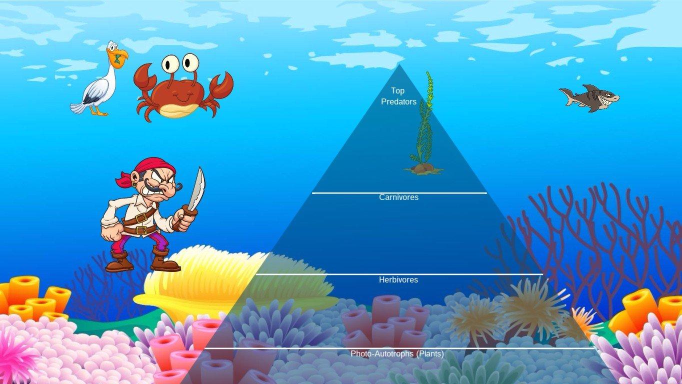 Ocean Ecological Pyramid