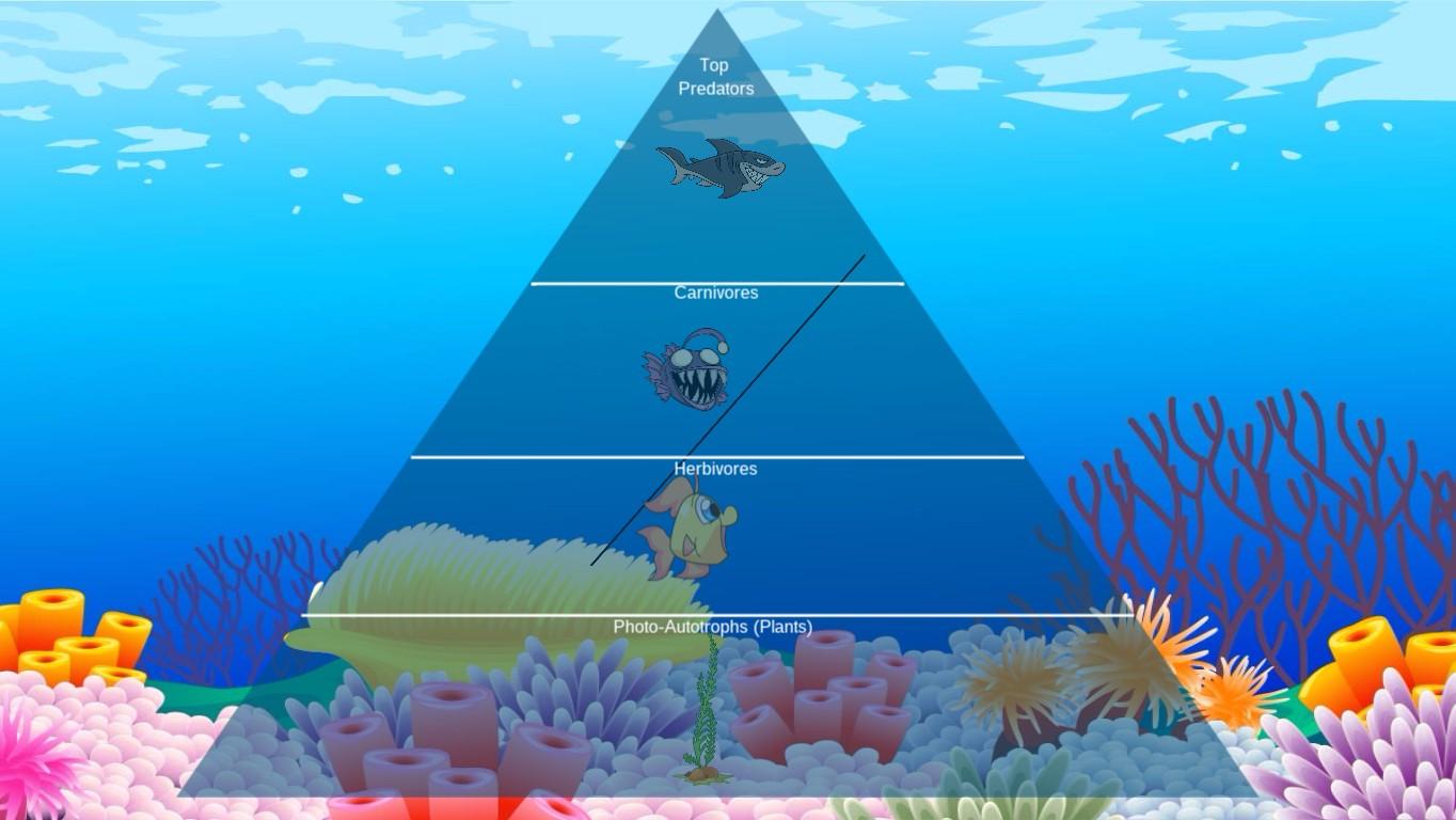 Ocean Ecological Pyramid