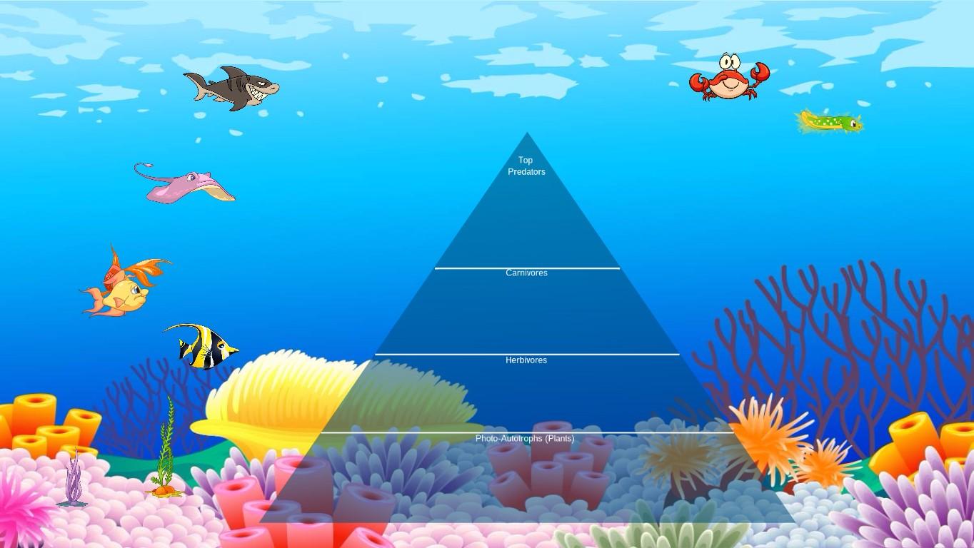 Ocean Ecological Pyramid