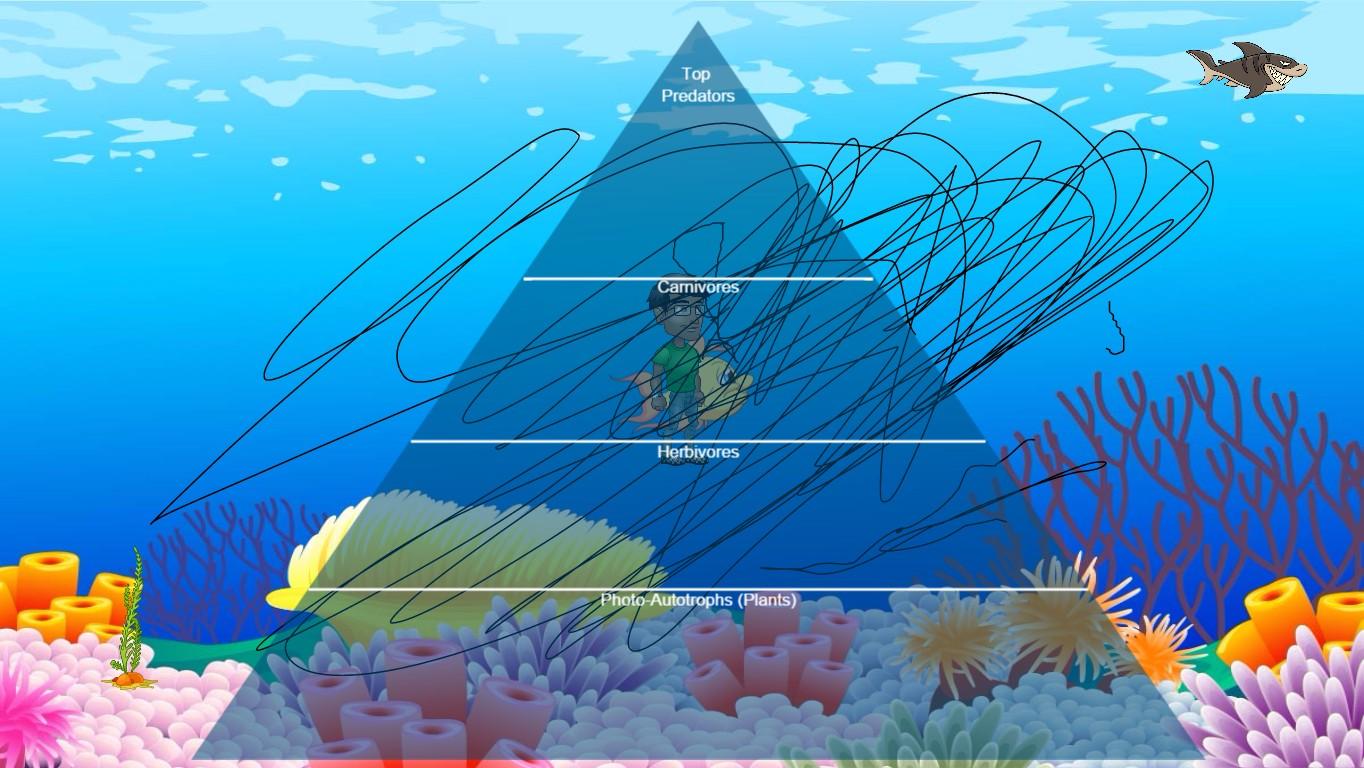 Ocean Ecological Pyramid