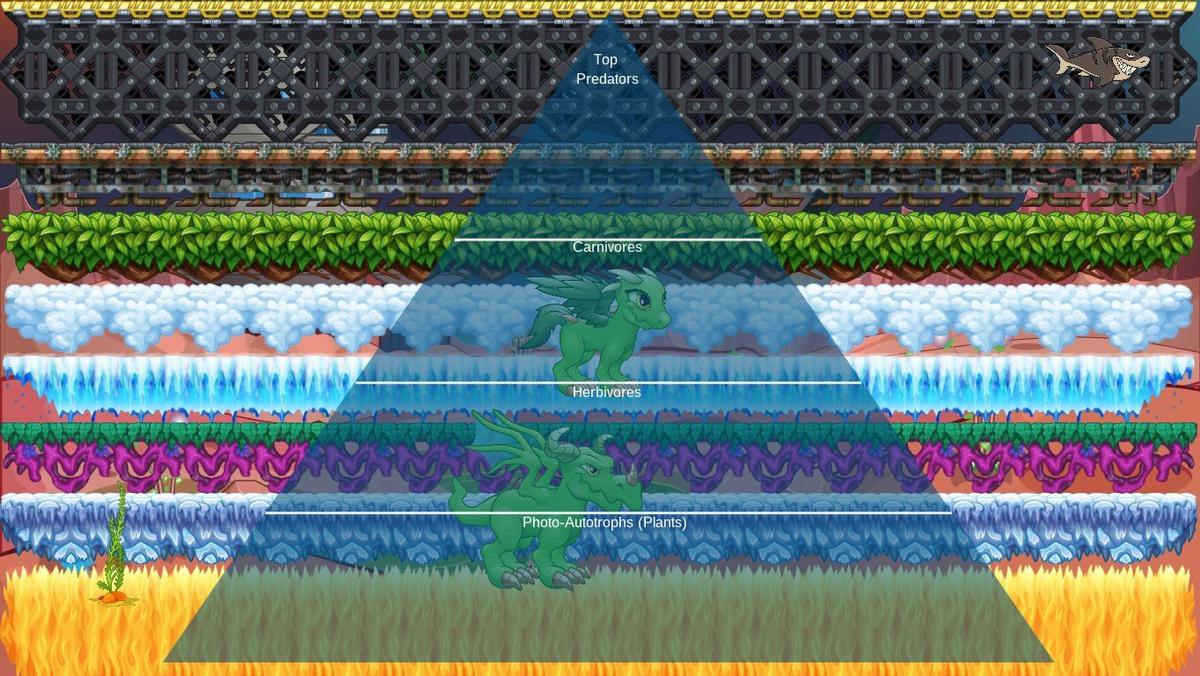 Ocean Ecological Pyramid