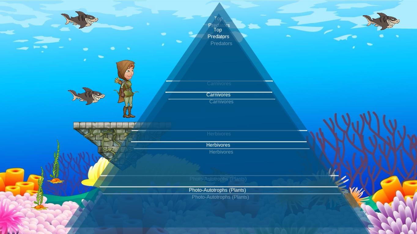 Ocean Ecological Pyramid