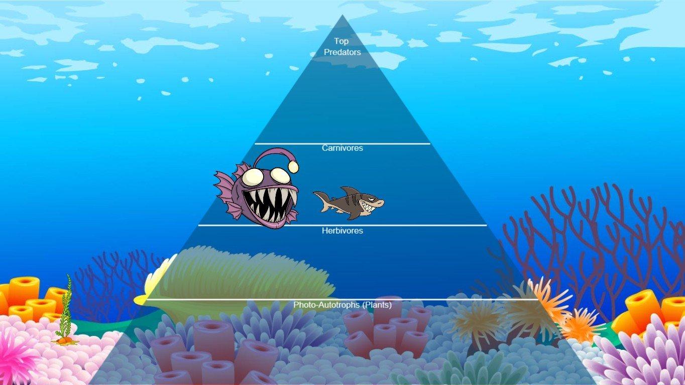 Ocean Ecological Pyramid