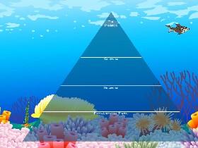 Ecological Pyramid 1