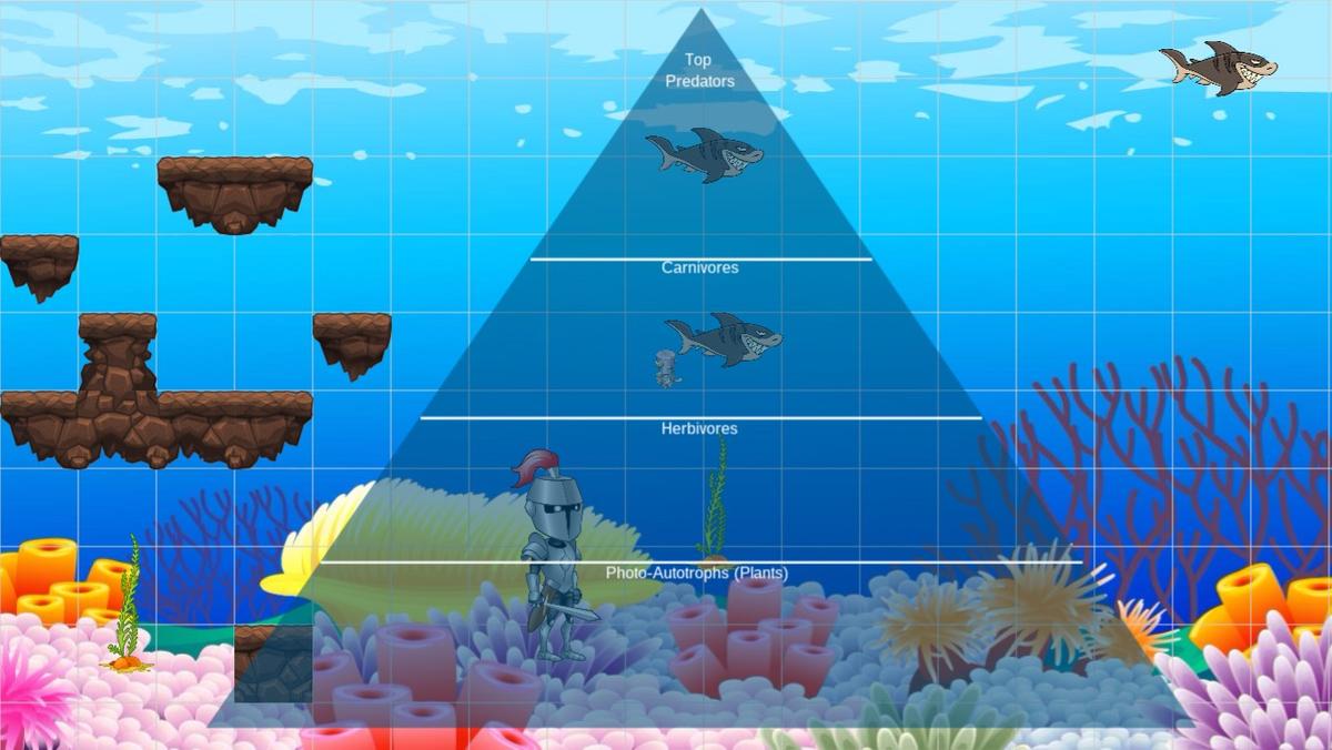 Ocean Ecological Pyramid