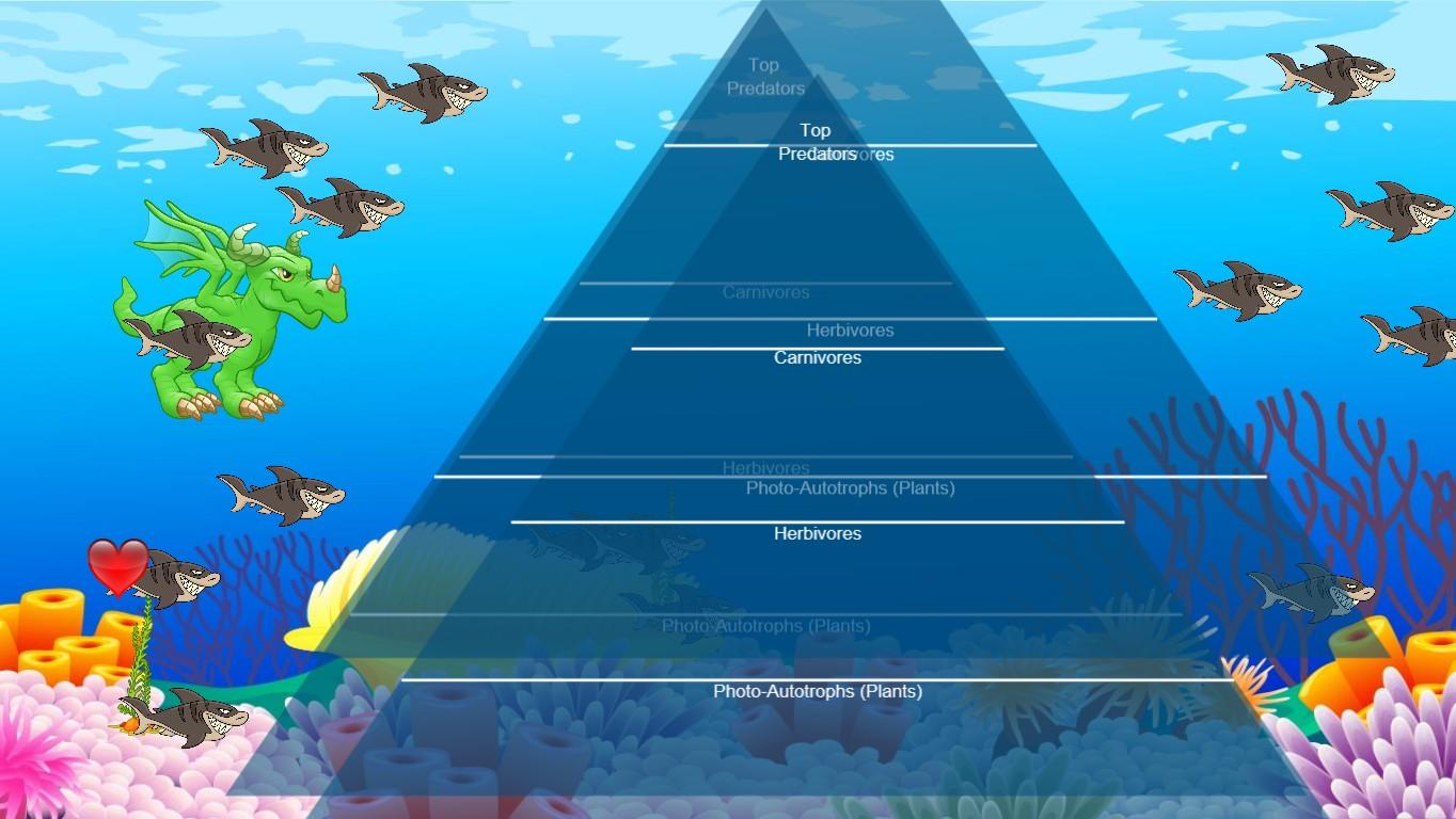 Ocean Ecological Pyramid