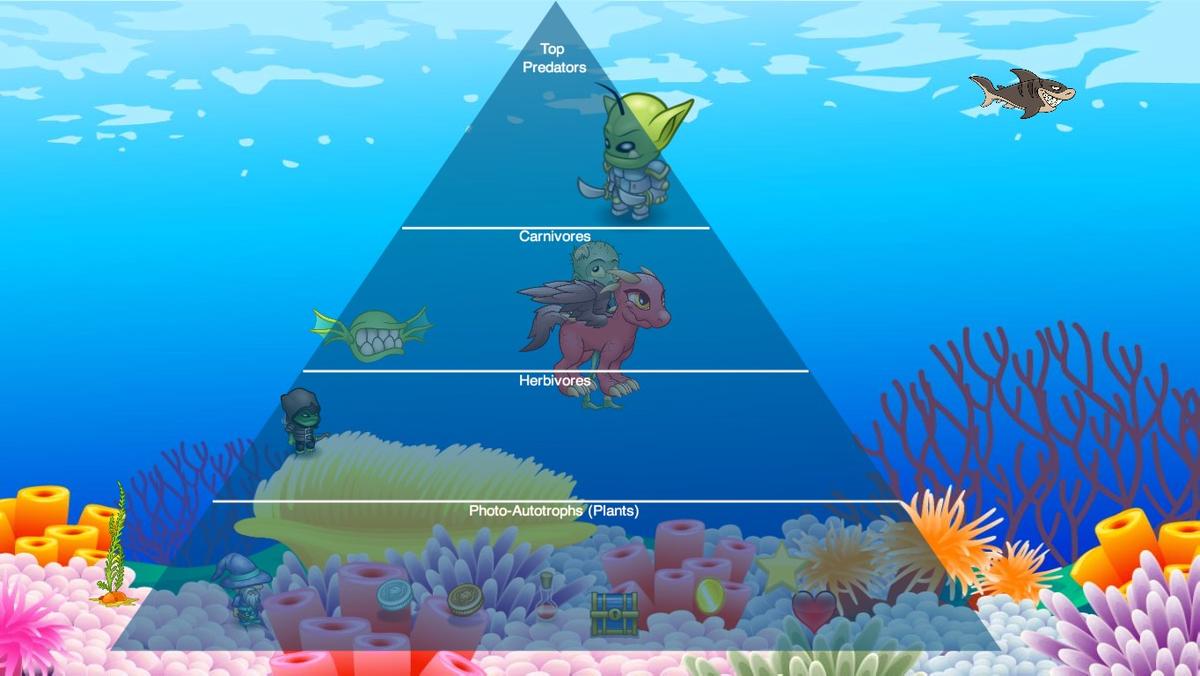 Ocean Ecological Pyramid