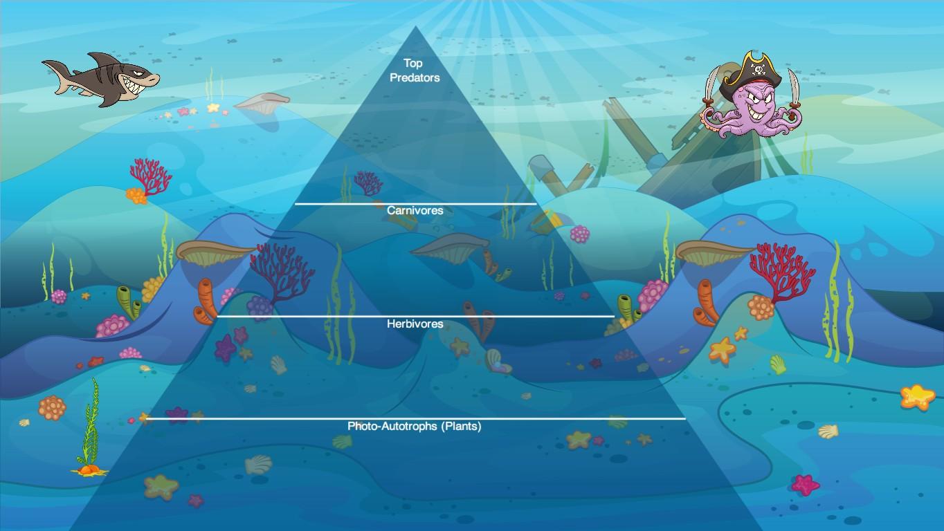 Ocean Ecological Pyramid